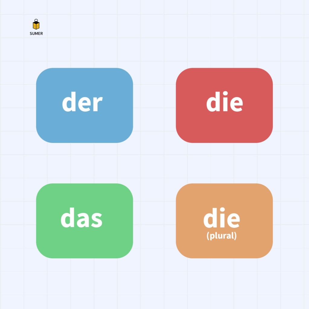 تصویر گرافیکی برای آموزش آرتیکل های زبان آلمانی (der, die, das) که جنسیت‌های مذکر (آبی)، مونث (قرمز)، خنثی (سبز) و حالت جمع (نارنجی) را نشان می‌دهد.